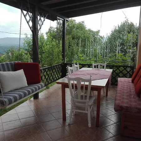 Panorama Izgrev