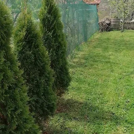 Vila Panorama *