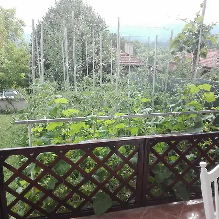Vila Panorama *